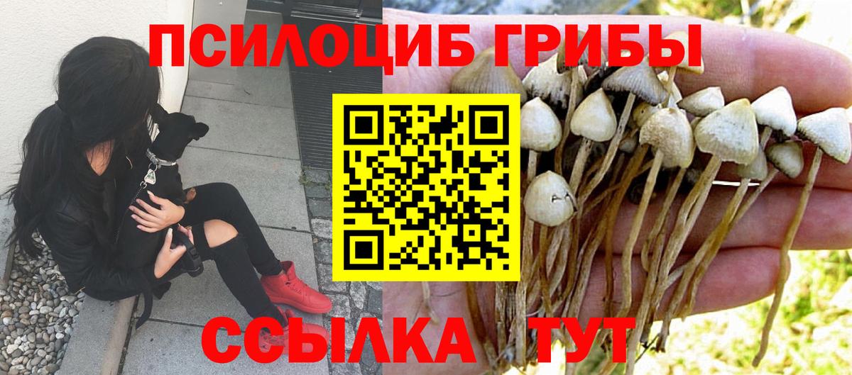 продажа наркотиков  Галлюциногенные грибы мицелий  Вход с VPN  Галлюциногенные грибы мицелий  Радужный 